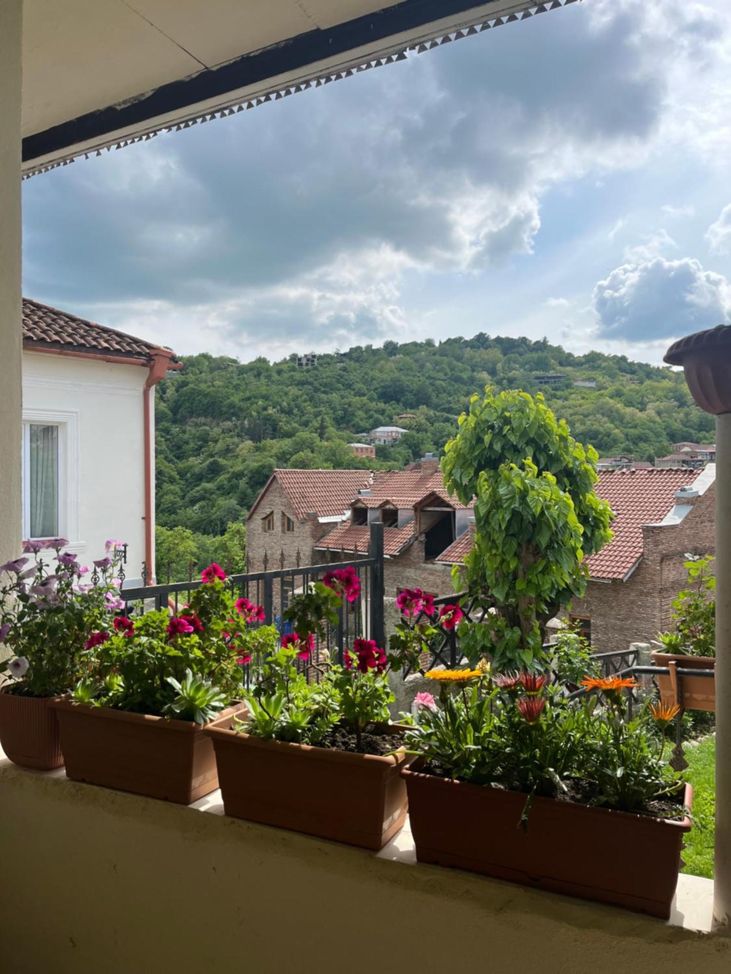 Guest House Anuki Siğnaği Dış mekan fotoğraf